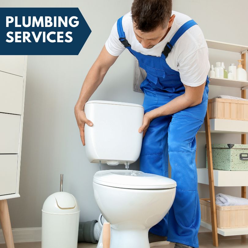 Plumbing Company in Auburn, WA